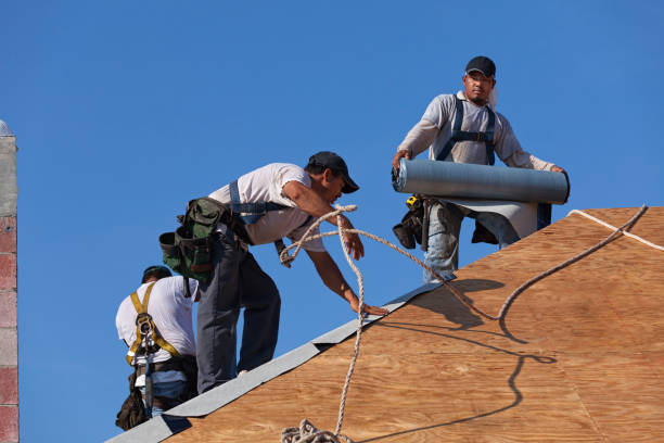Best Roof Repair Services  in Lockport, LA